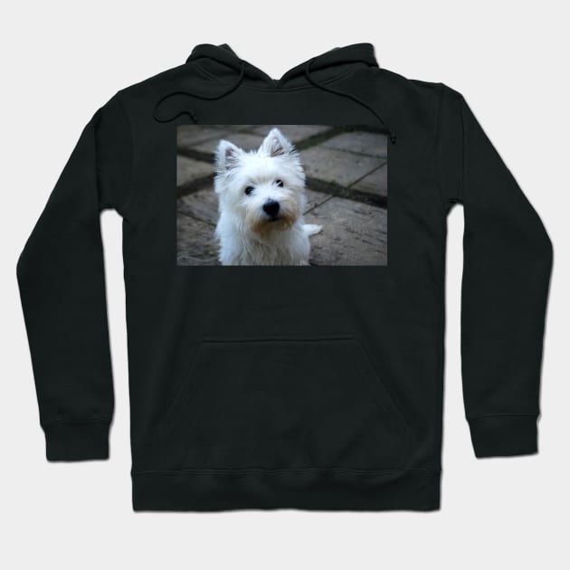 Westie Hoodie by princess-pirate